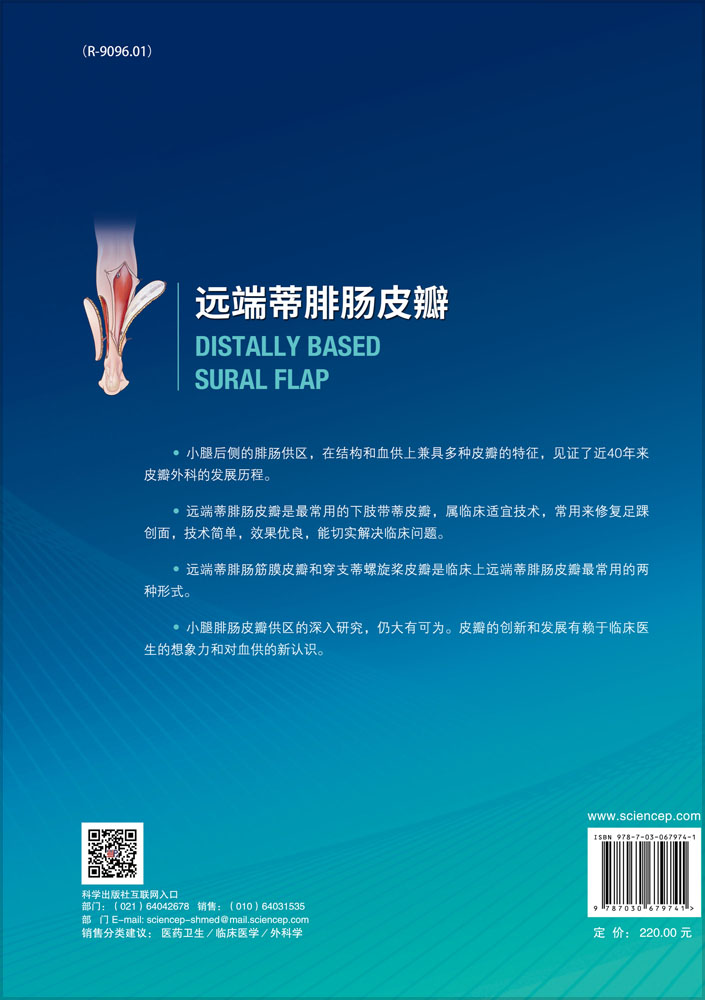 远端蒂腓肠皮瓣