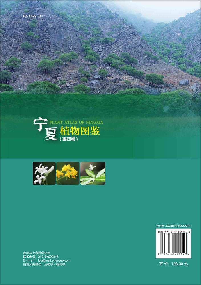 宁夏植物图鉴（第四卷）