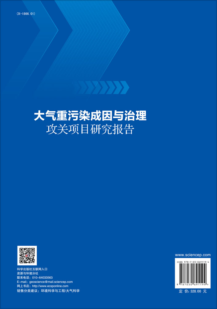 大气重污染成因与治理攻关项目研究报告