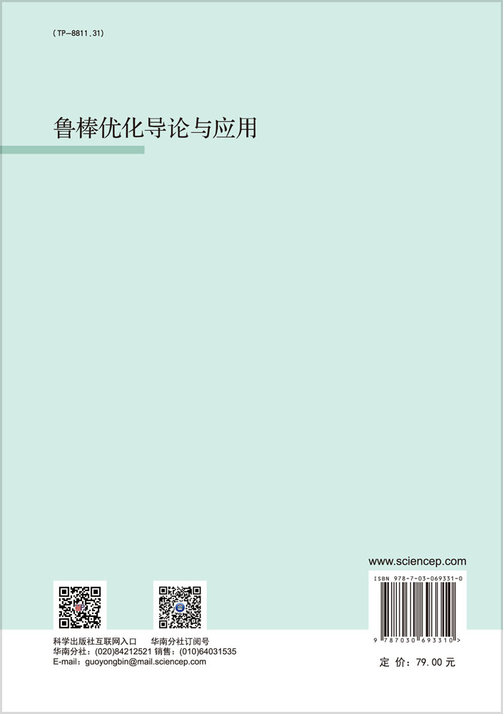 鲁棒优化导论与应用