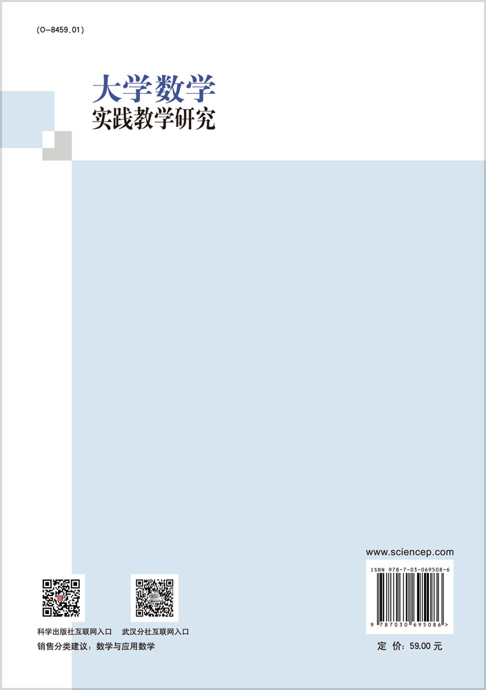 大学数学实践教学研究