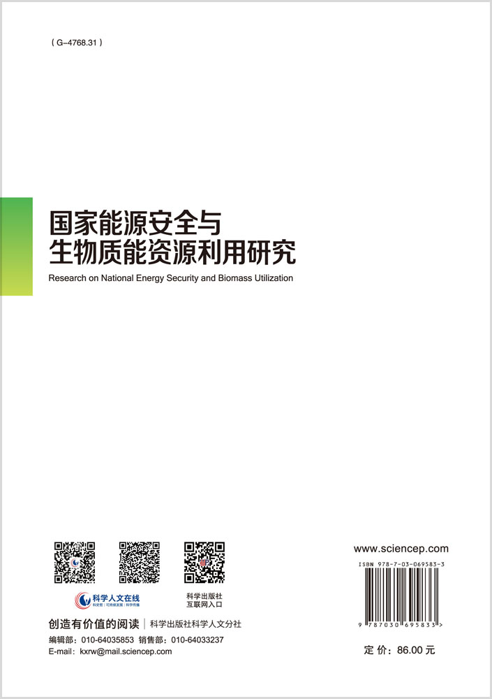 国家能源安全与生物质能资源利用研究