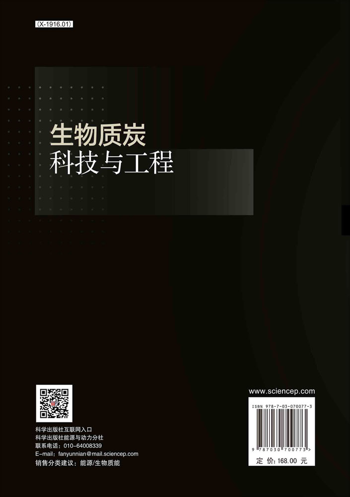 生物质炭科技与工程