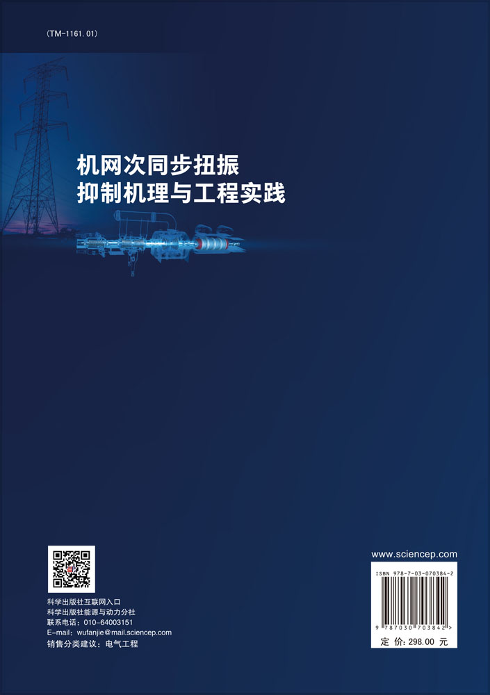 机网次同步扭振抑制机理与工程实践
