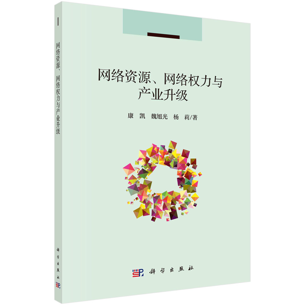 网络资源、网络权力与产业升级