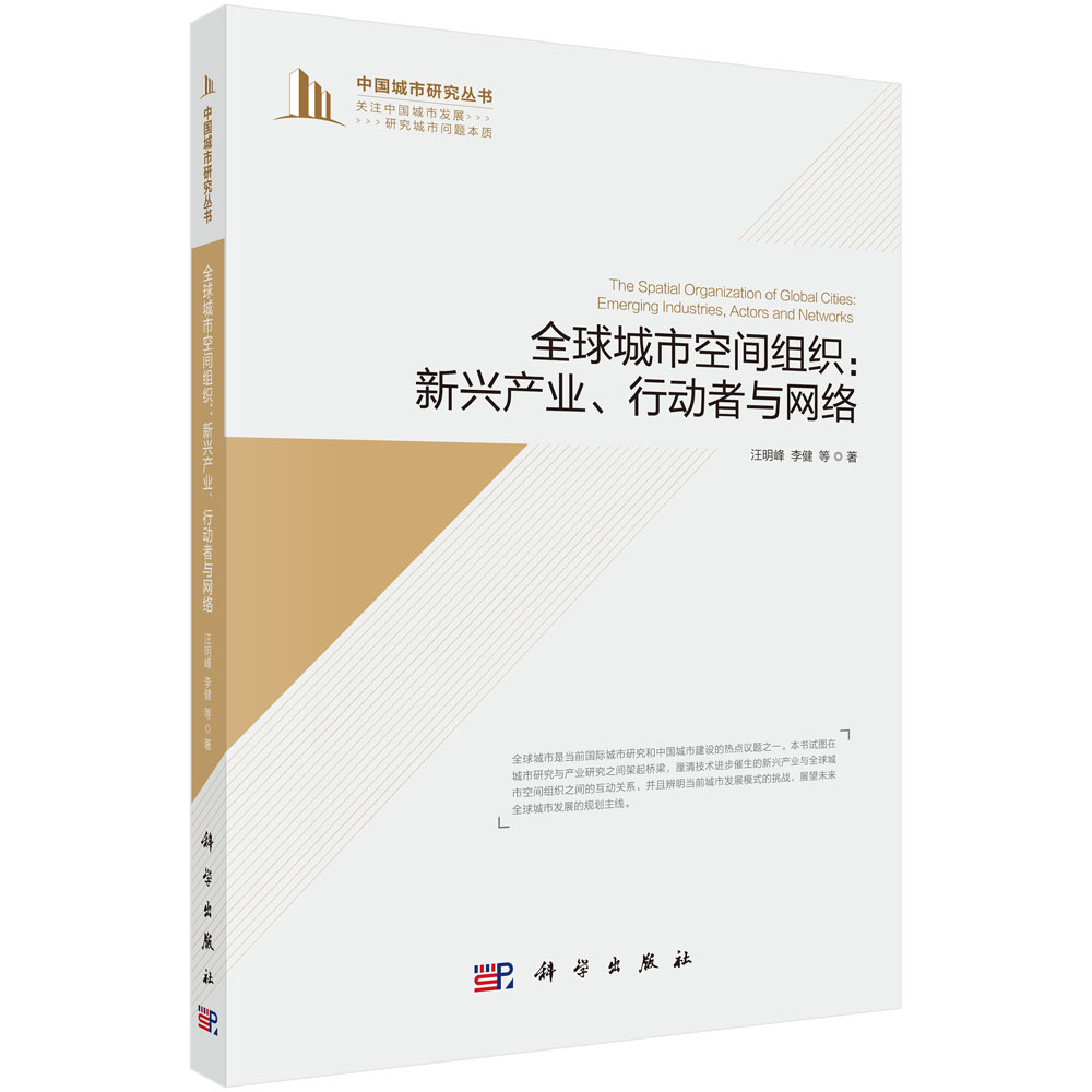 全球城市空间组织：新兴产业、行动者与网络