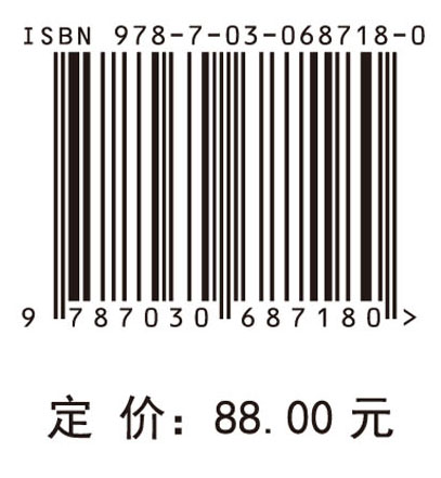 互补约束优化理论与方法