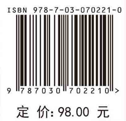 多孔口紊动浮射流