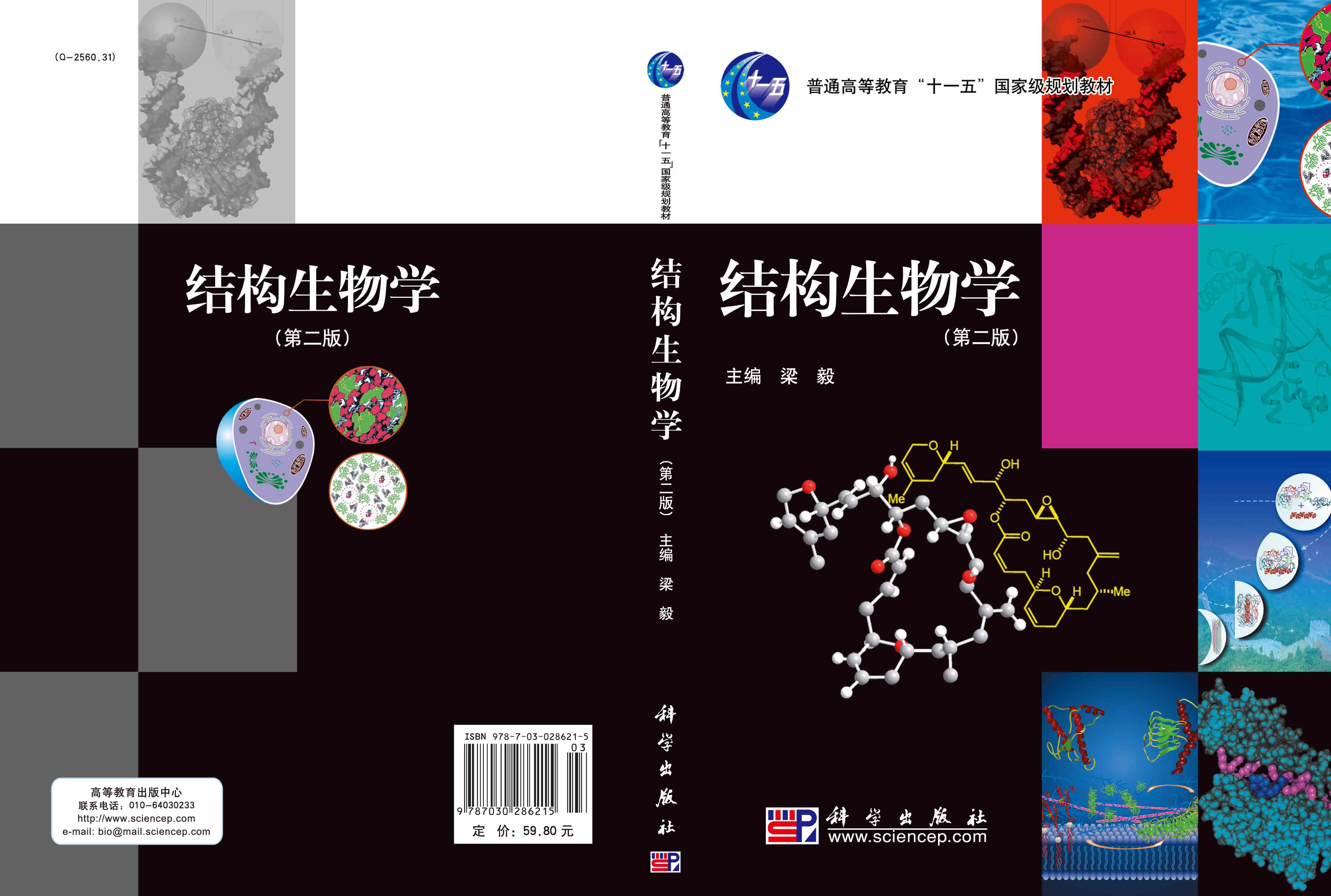 结构生物学（第二版）