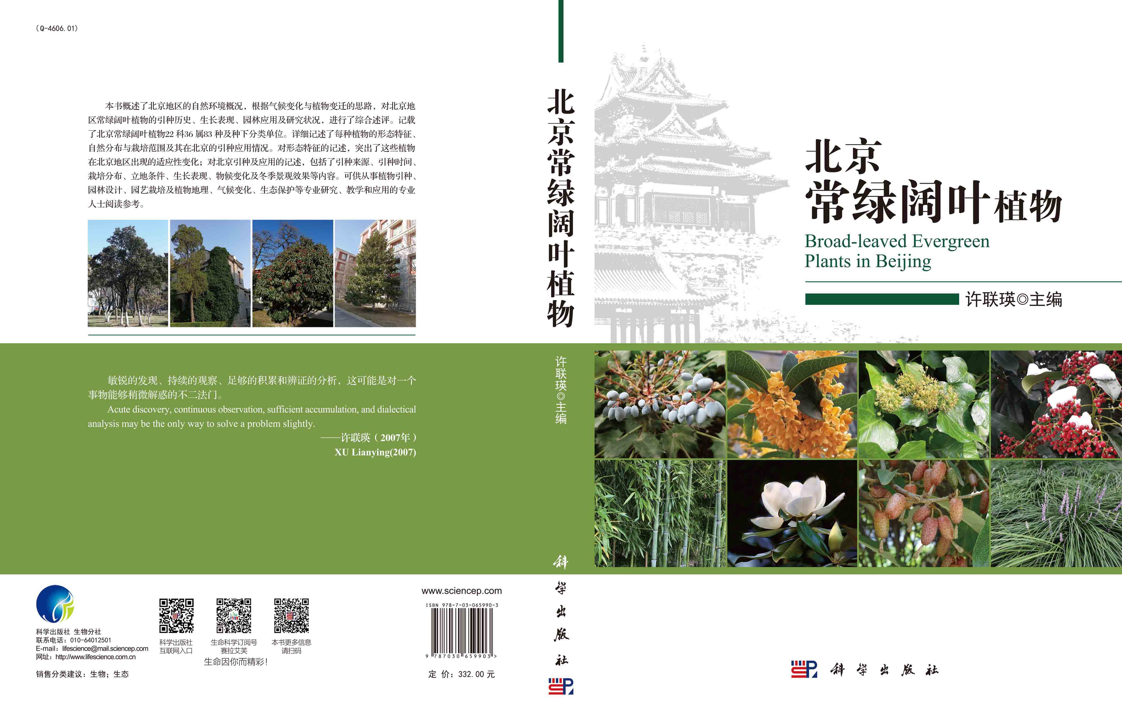 北京常绿阔叶植物