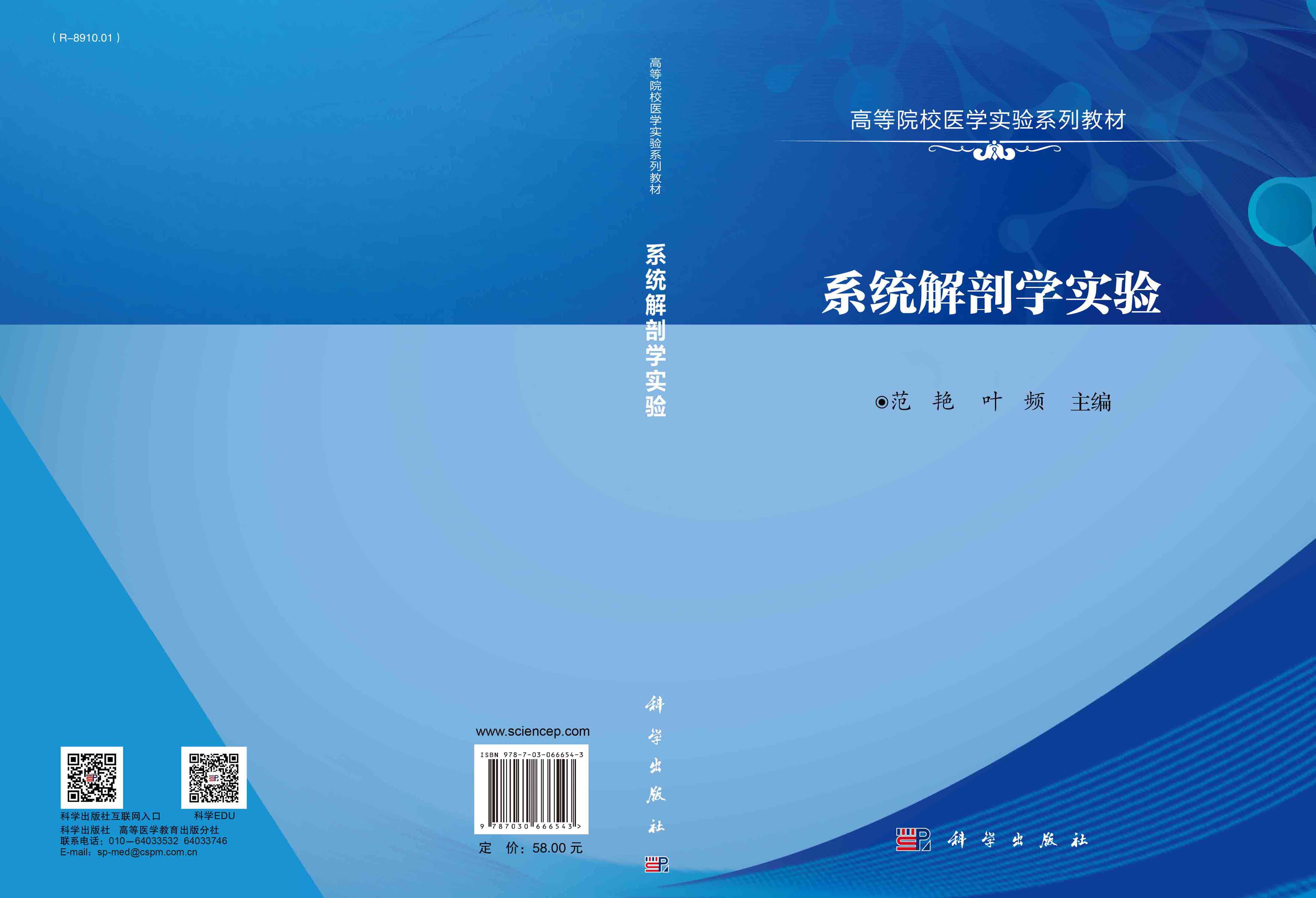 系统解剖学实验