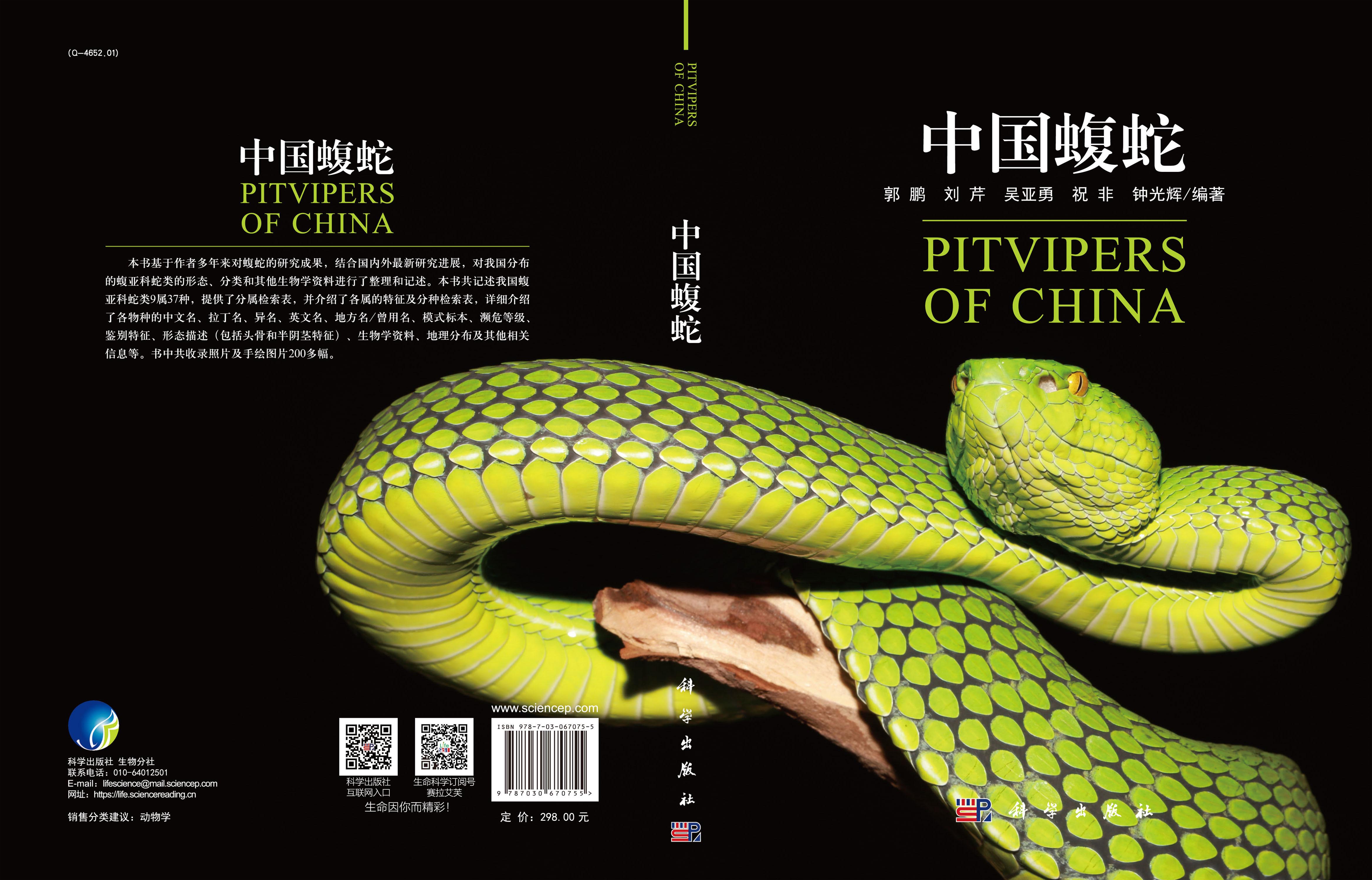 中国蝮蛇