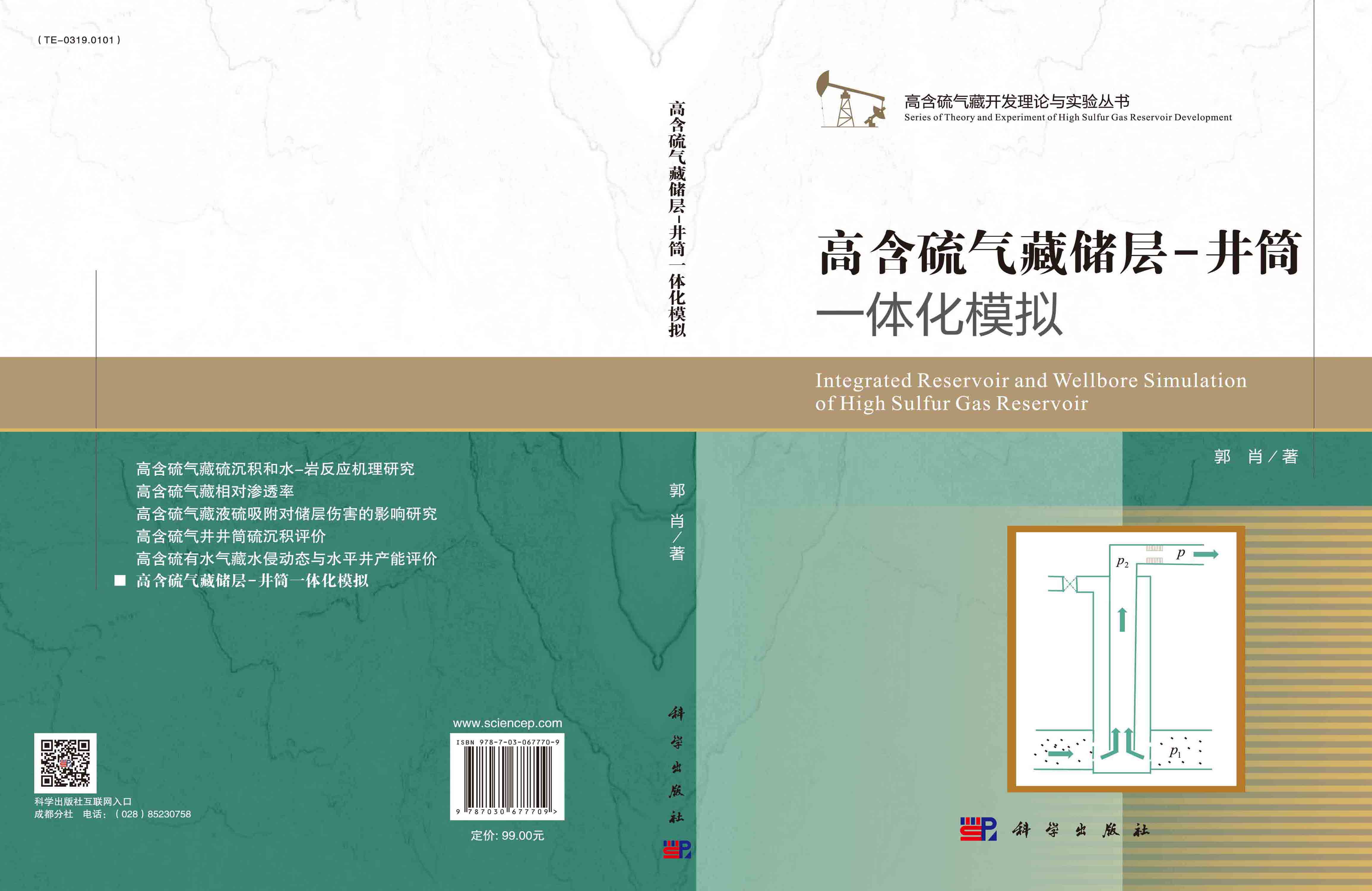 高含硫气藏储层-井筒一体化模拟