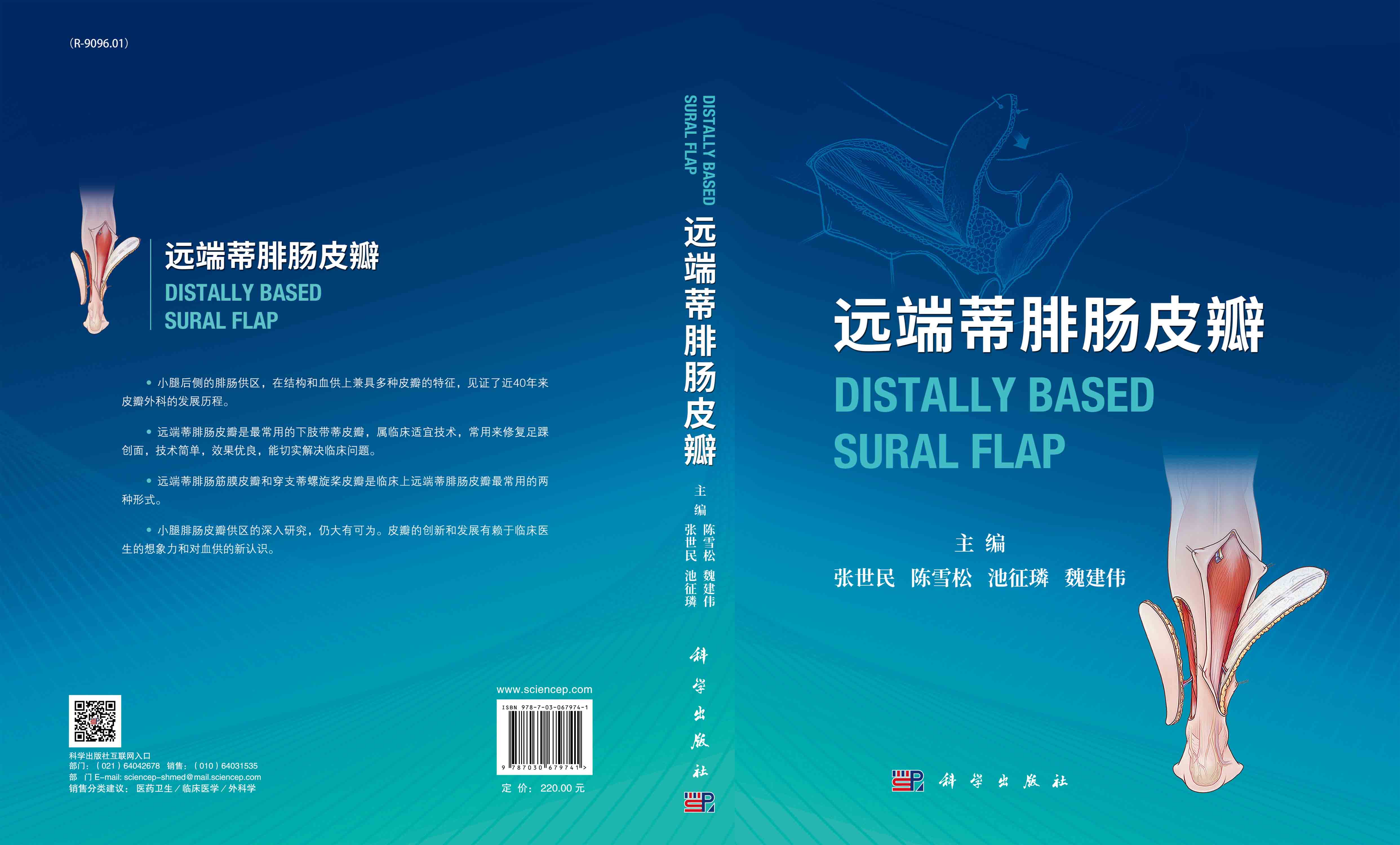 远端蒂腓肠皮瓣