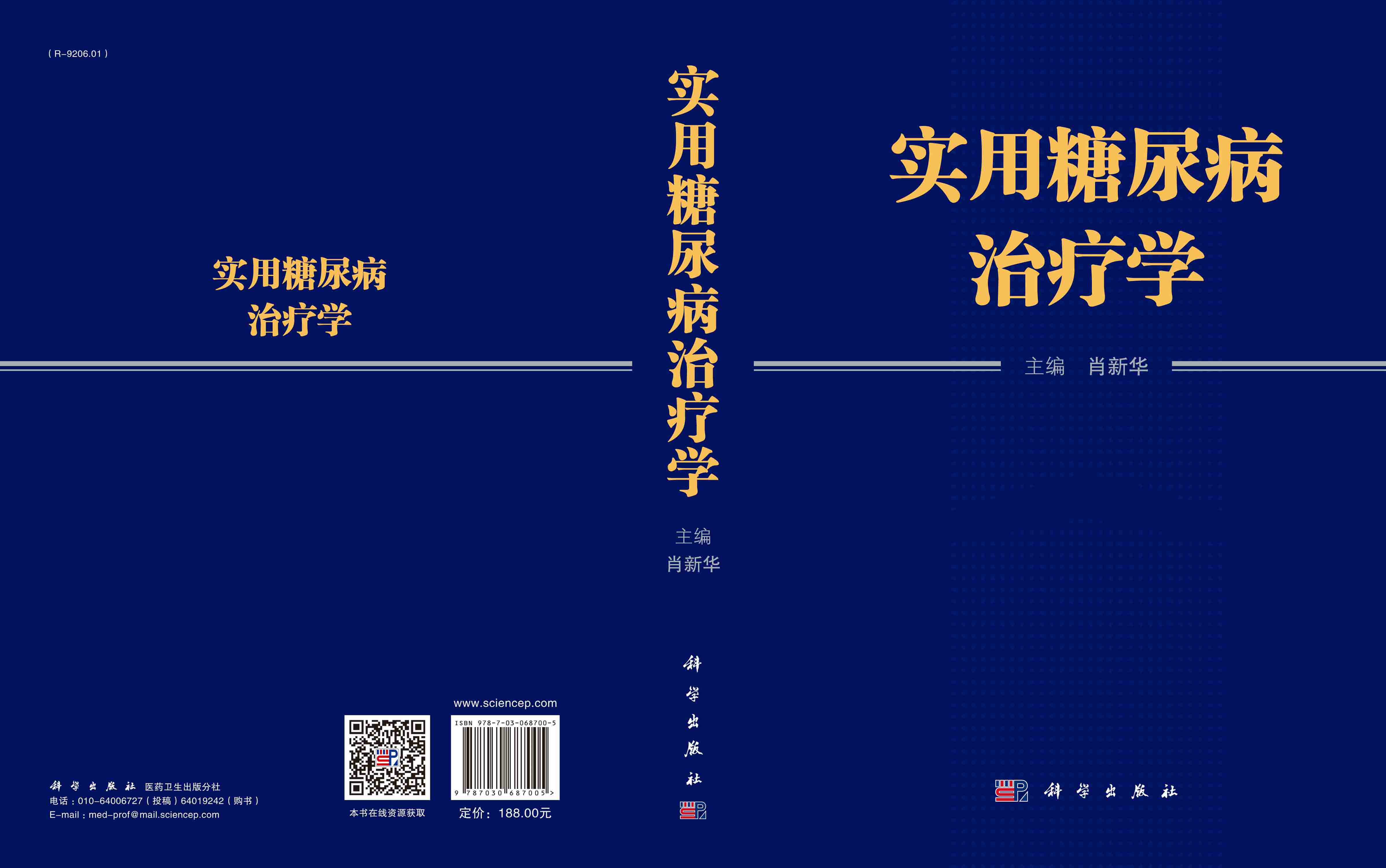 实用糖尿病治疗学