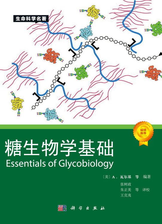 糖生物学基础