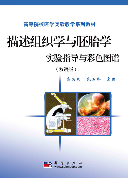 描述组织学与胚胎学——实验指导与彩色图谱（双语版）