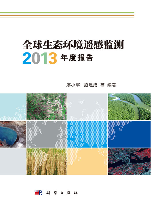 全球生态环境遥感监测2013年度报告