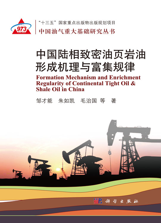 中国陆相致密油页岩油形成机理与富集规律