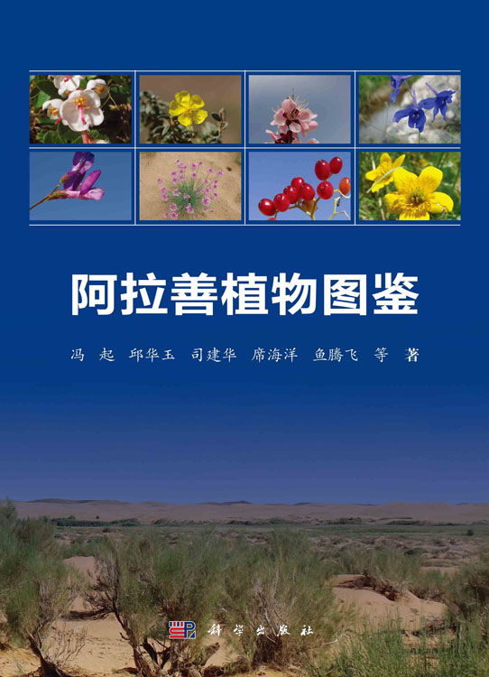 阿拉善植物图鉴