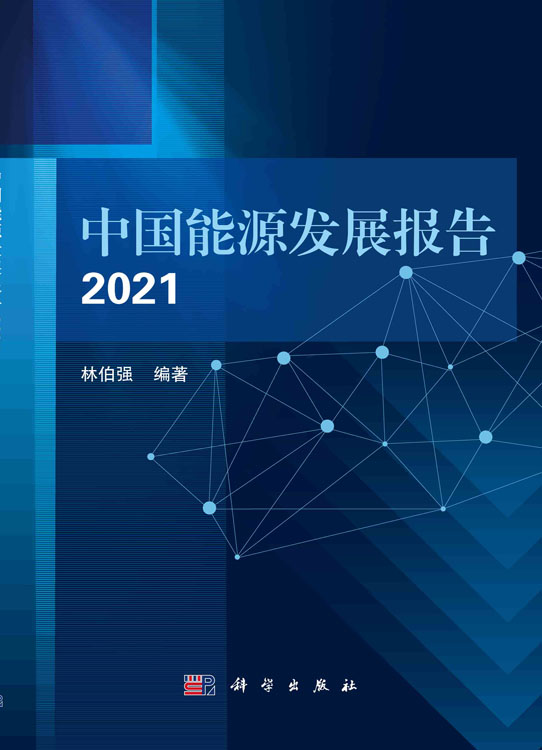 中国能源发展报告2021