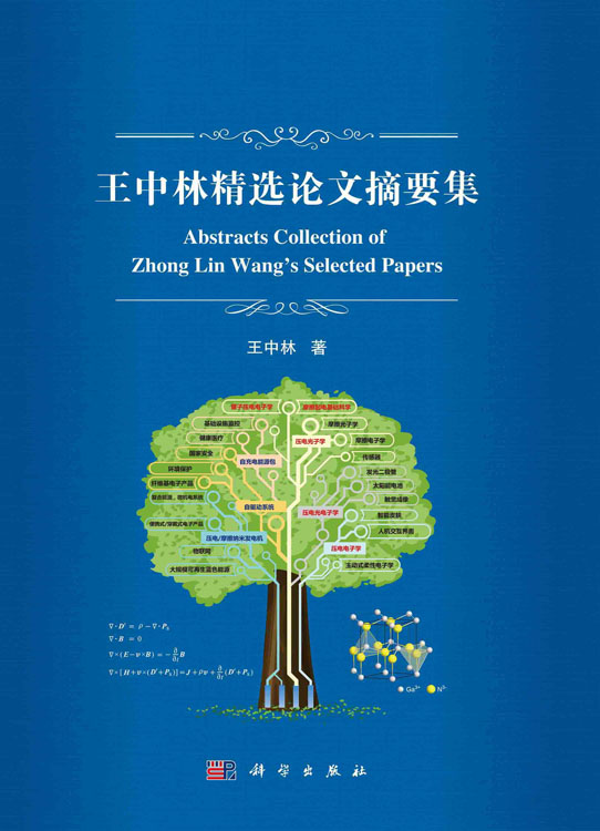 王中林精选论文摘要集