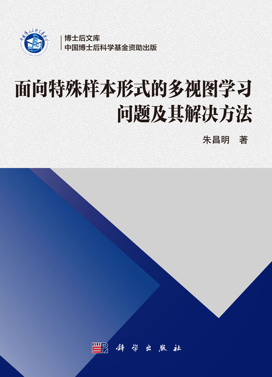 面向特殊样本形式的多视图学习问题及其解决方法