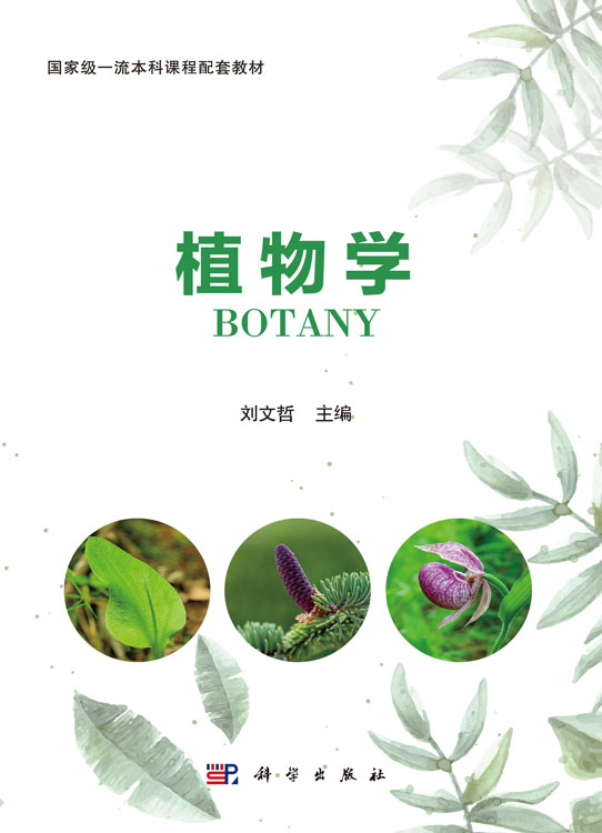 植物学
