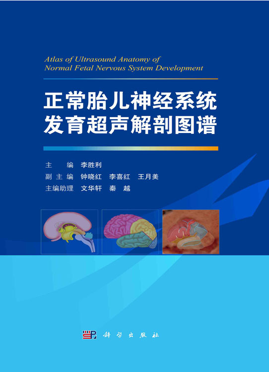 正常胎儿神经系统发育超声解剖图谱