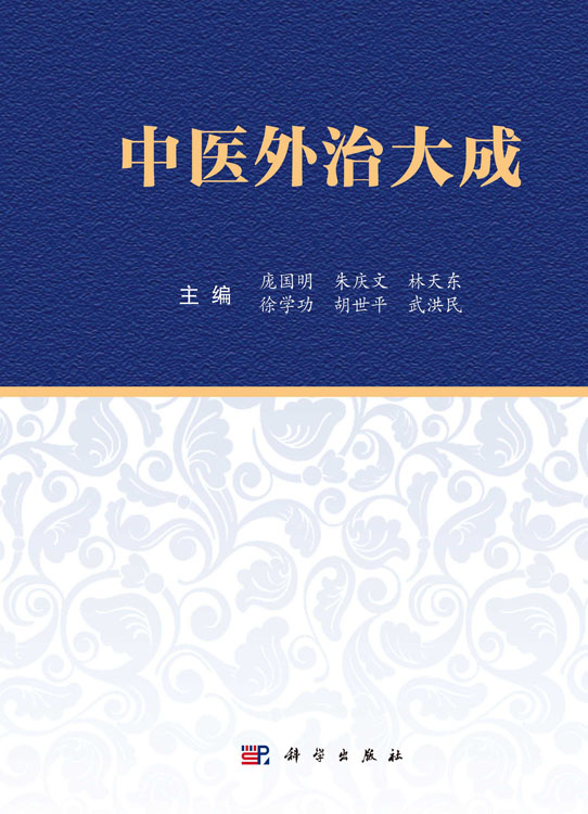 中医外治大成