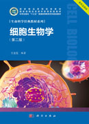 细胞生物学（第二版）
