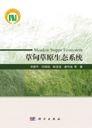 草甸草原生态系统