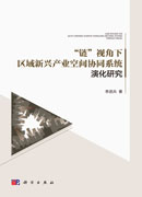 “链”视角下区域新兴产业空间协同系统演化研究