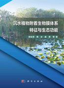 沉水植物附着生物膜体系特征与生态功能