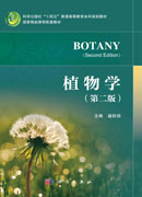 植物学（第二版）