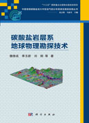 碳酸盐岩层系地球物理勘探技术