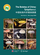 中国粉孢牛肝菌类真菌（英文版）