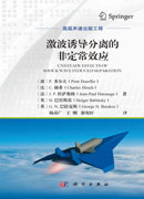 激波诱导分离的非定常效