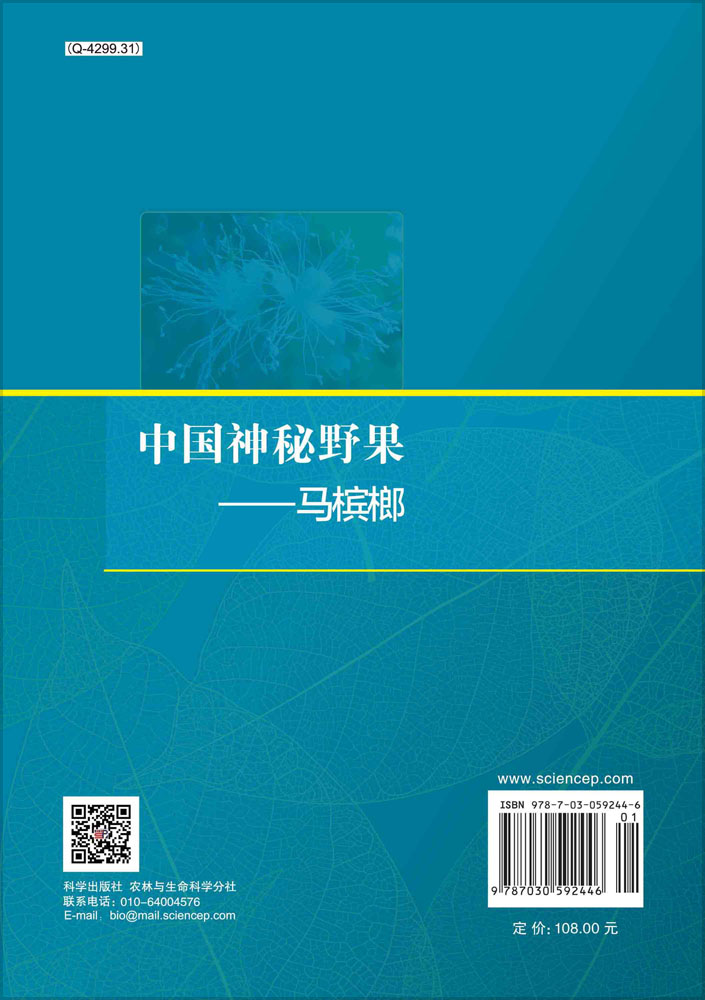 中国神秘野果——马槟榔