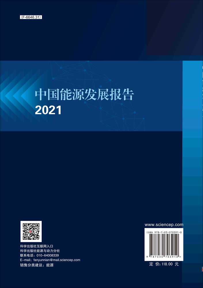 中国能源发展报告2021