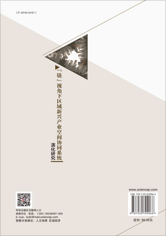 “链”视角下区域新兴产业空间协同系统演化研究