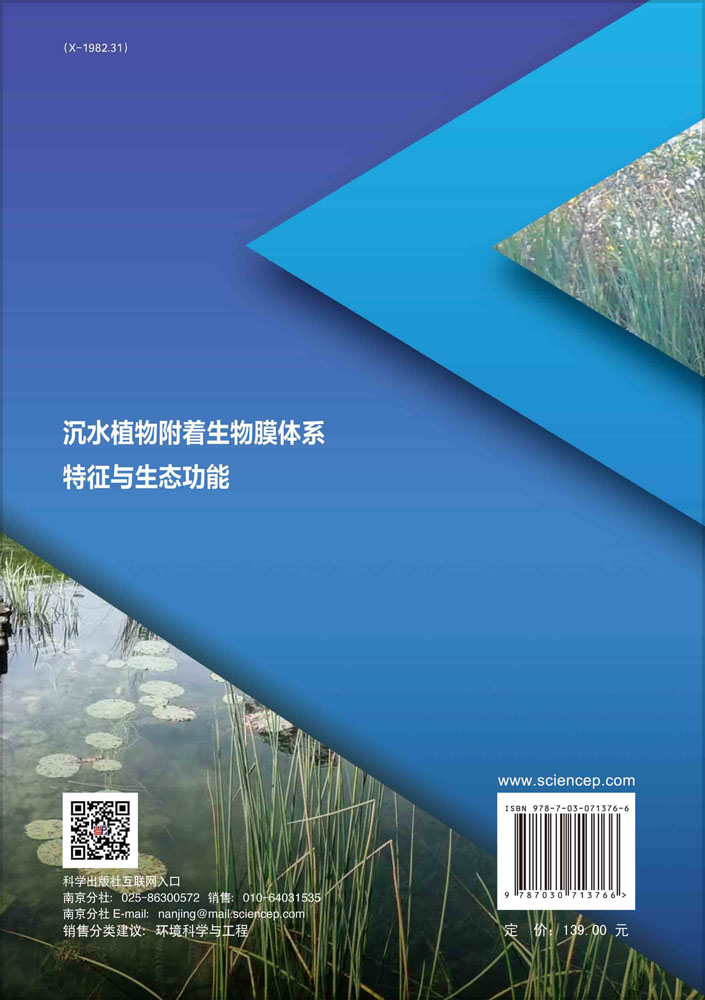 沉水植物附着生物膜体系特征与生态功能