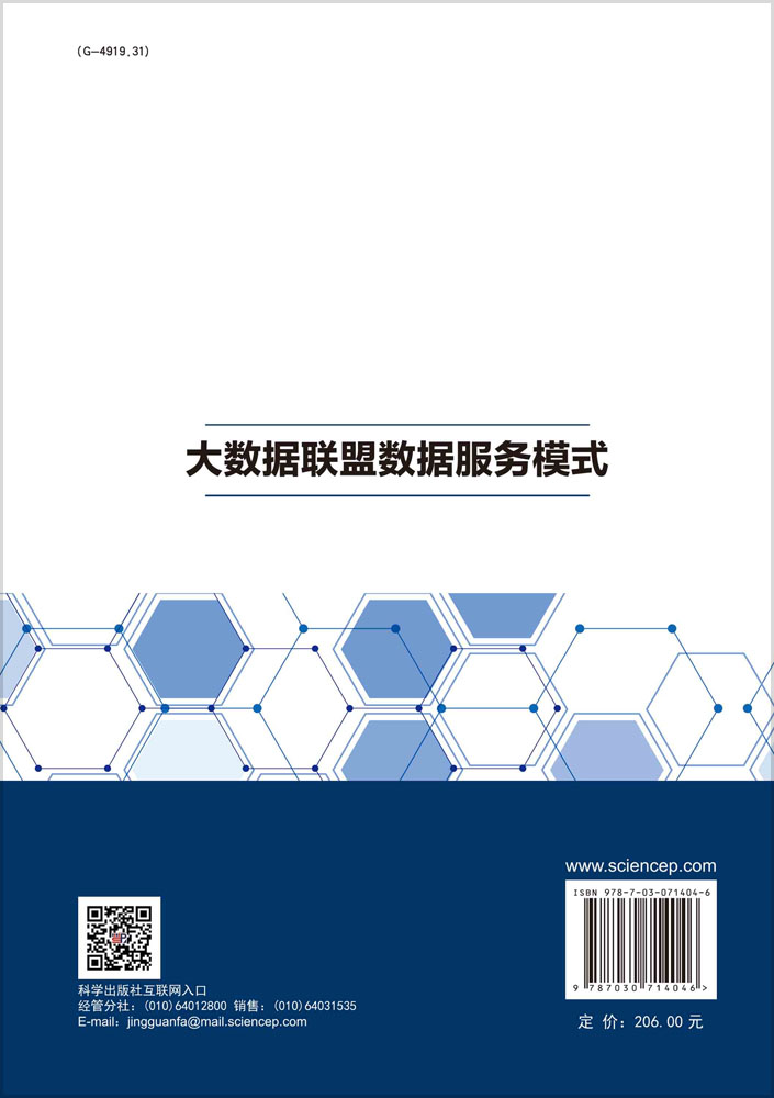 大数据联盟数据服务模式