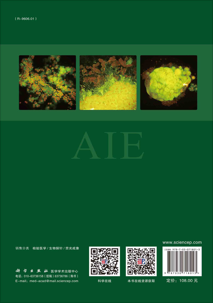 临床体液细胞AIE荧光染色图谱