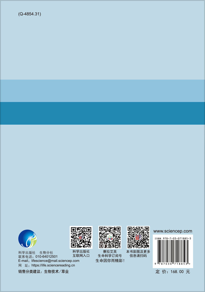 铺地锦竹草屋顶绿化新技术
