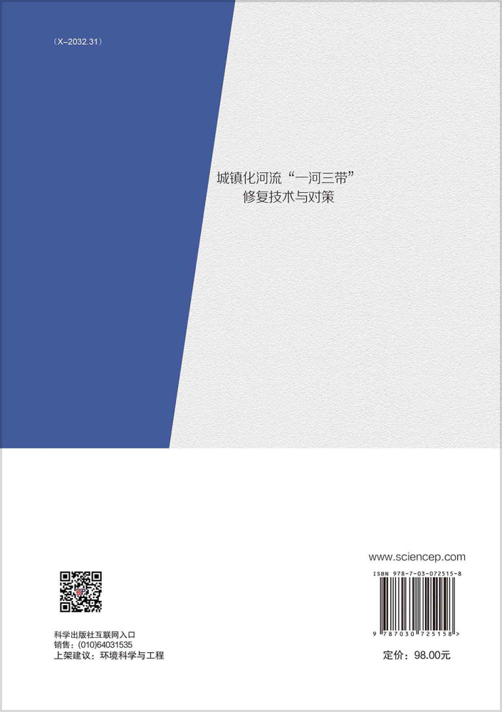 城镇化河流“一河三带”修复技术与对策