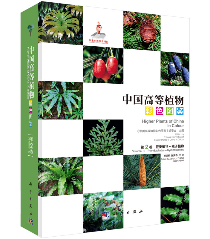 中国高等植物彩色图鉴 第2卷 蕨类植物-裸子植物