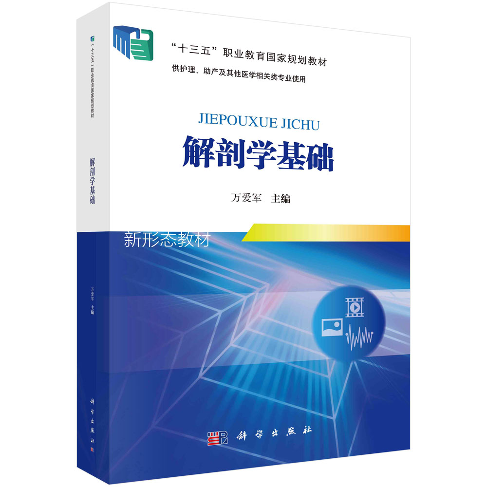 解剖学基础