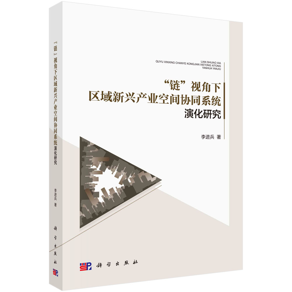 “链”视角下区域新兴产业空间协同系统演化研究