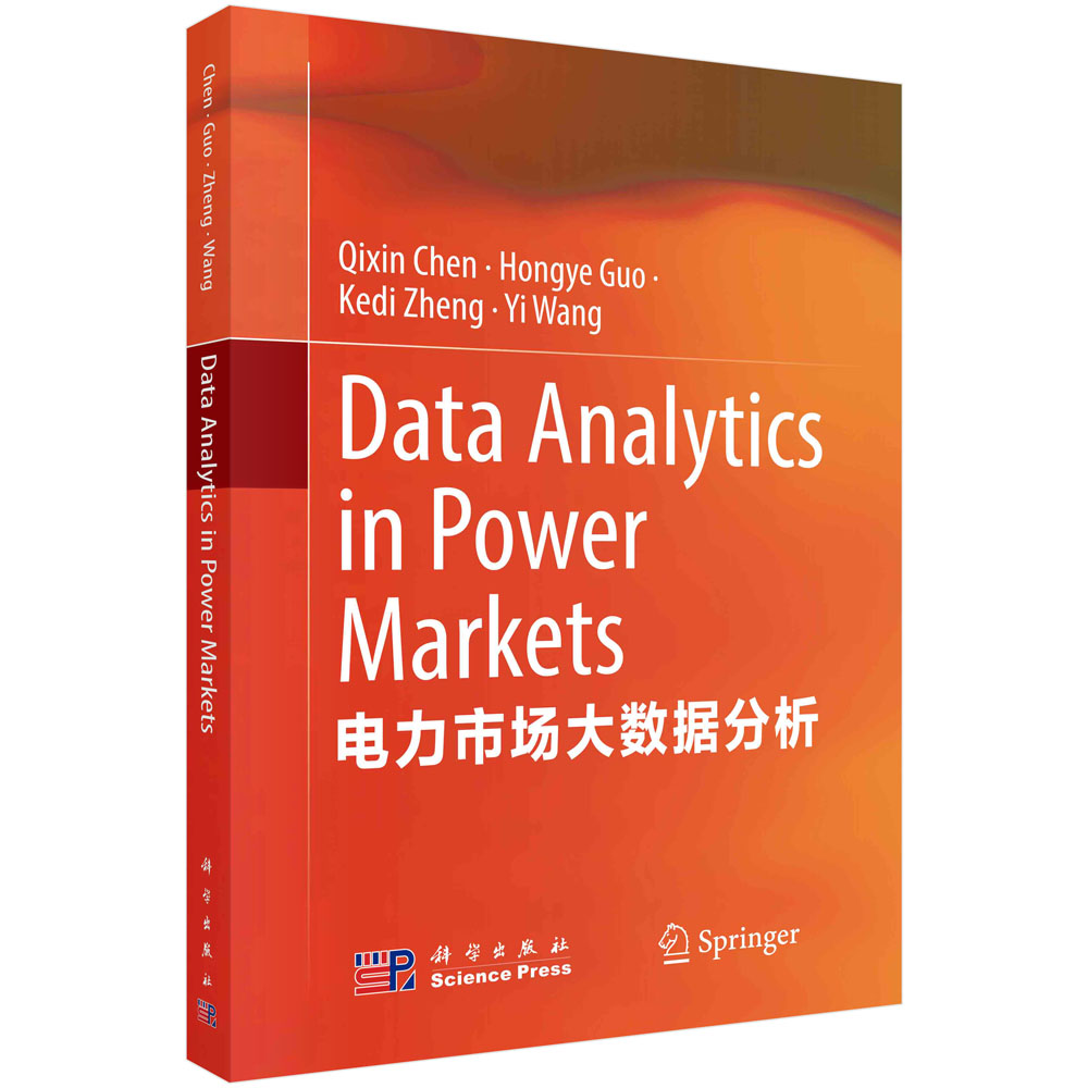 电力市场大数据分析=Data Analytics in Power Markets:英文